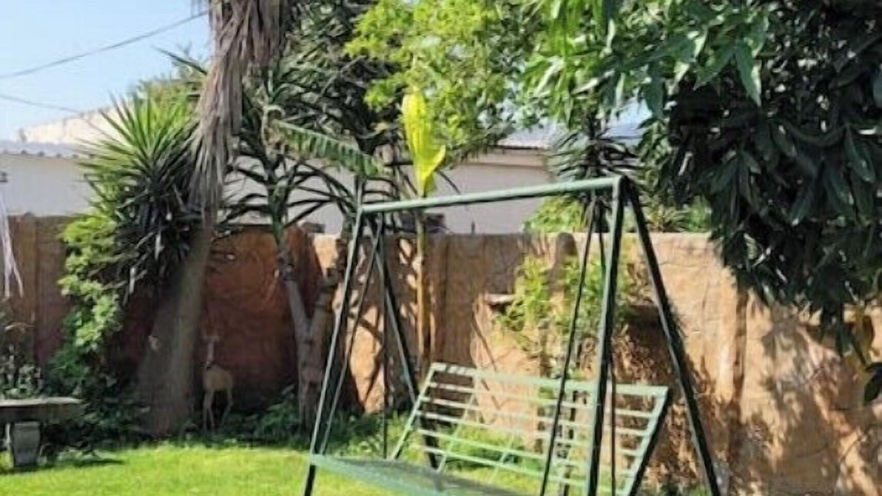 Photo of Outdoor in Trawal