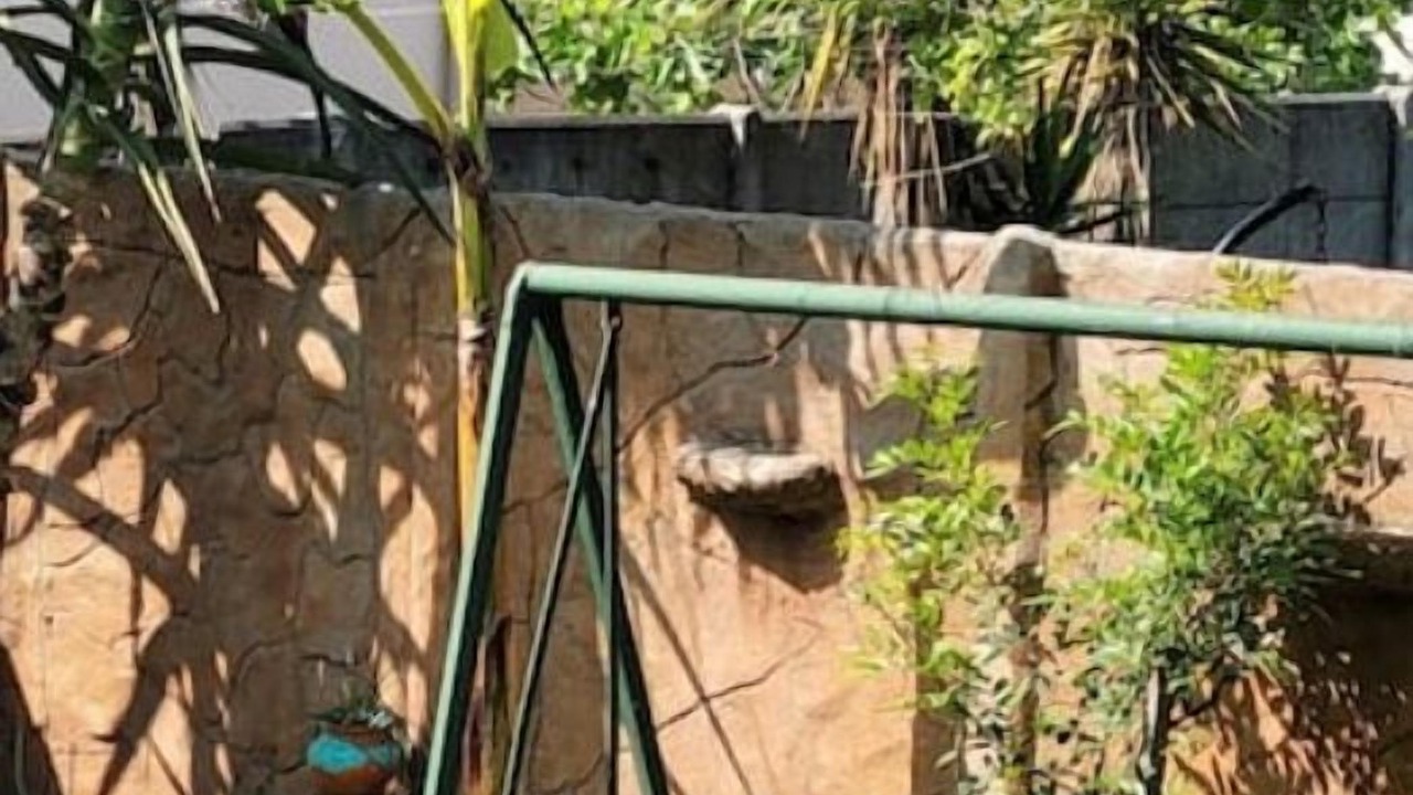 Photo of Outdoor in Trawal