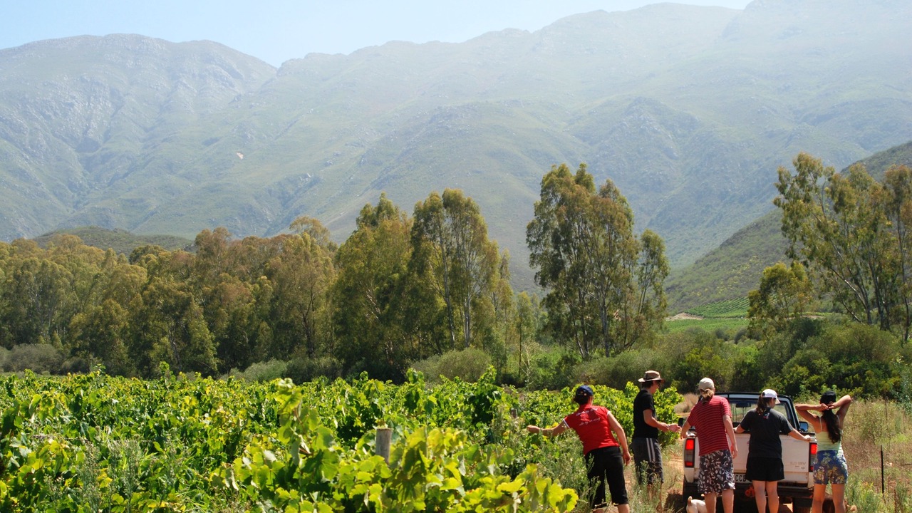 Photo of Outdoor in Langeberg