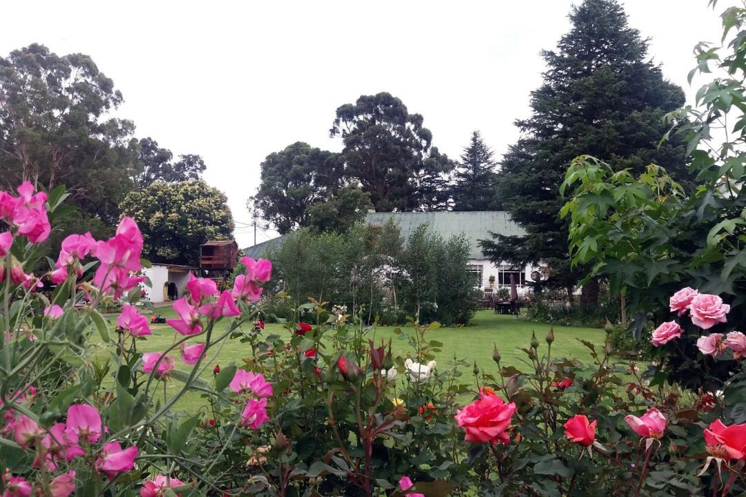 Photo of Others in Van Reenen