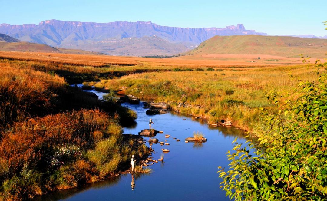 Photo of Others in Langkloof