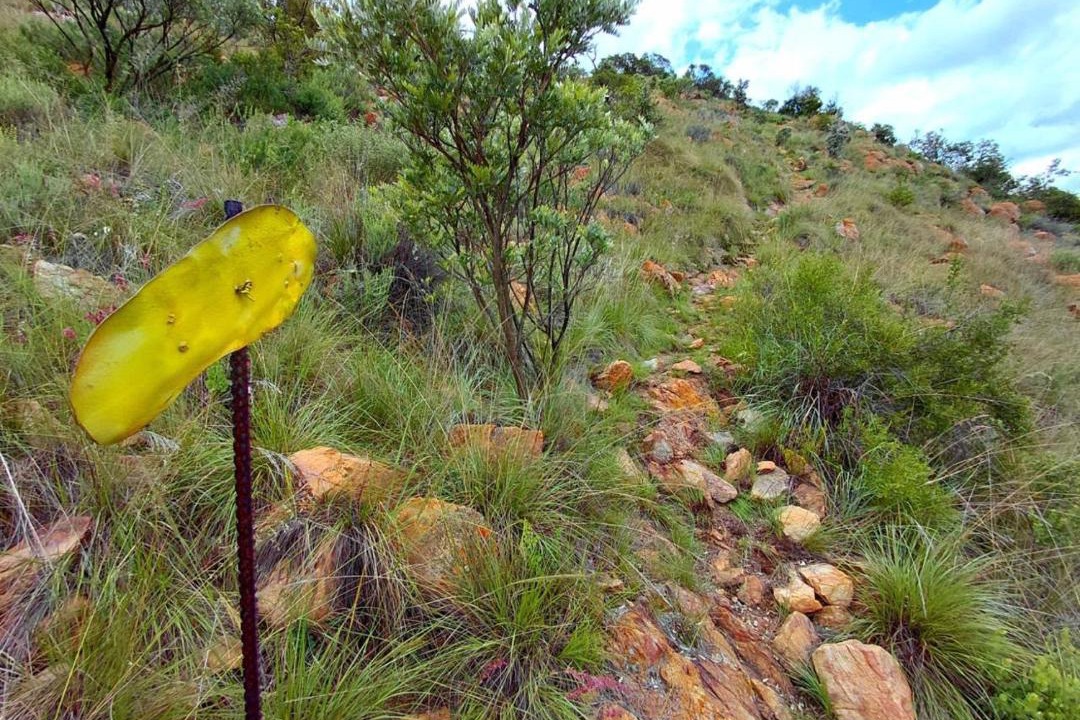 Photo of Others in Vredefort