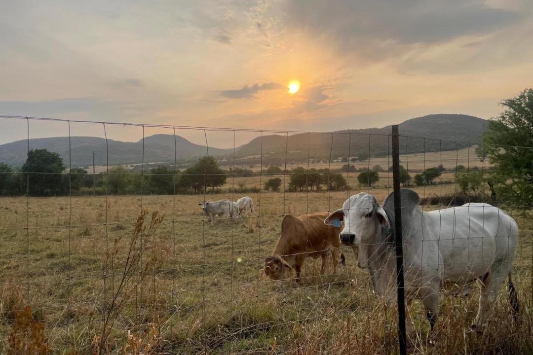 Photo of Others in Vredefort