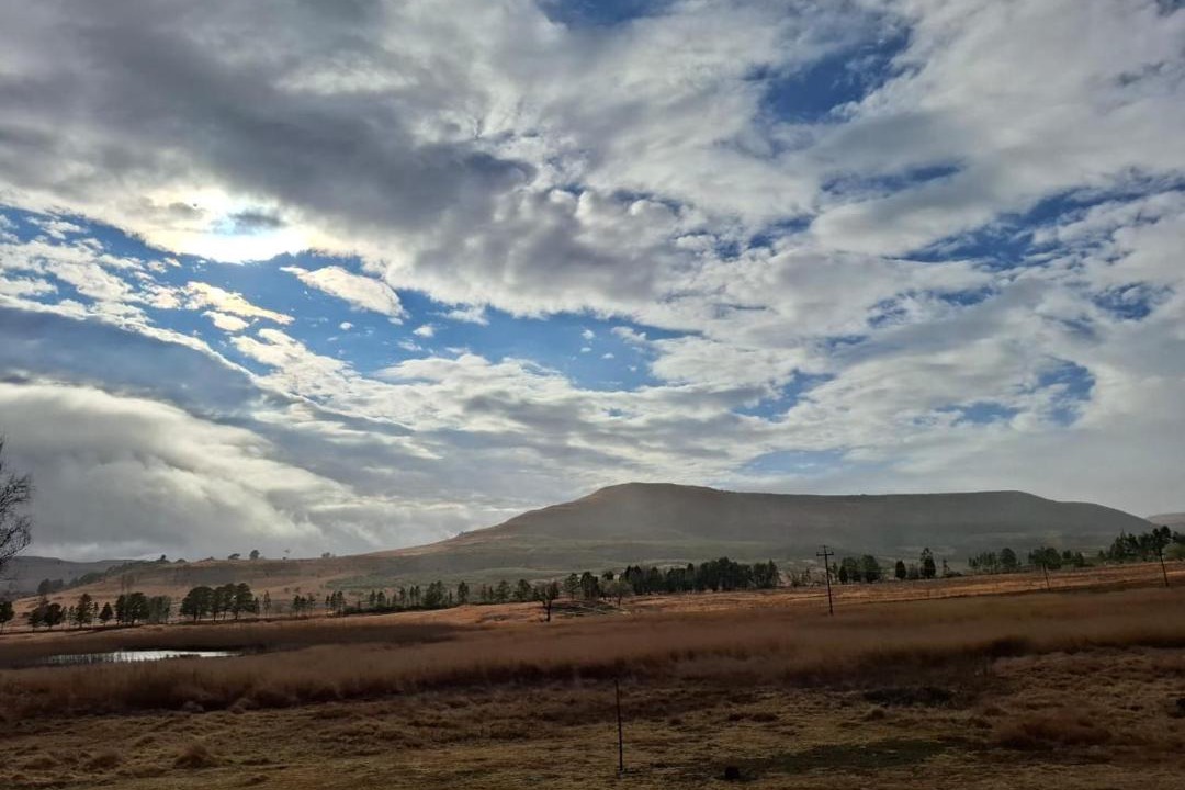 Photo of Others in Wakkerstroom