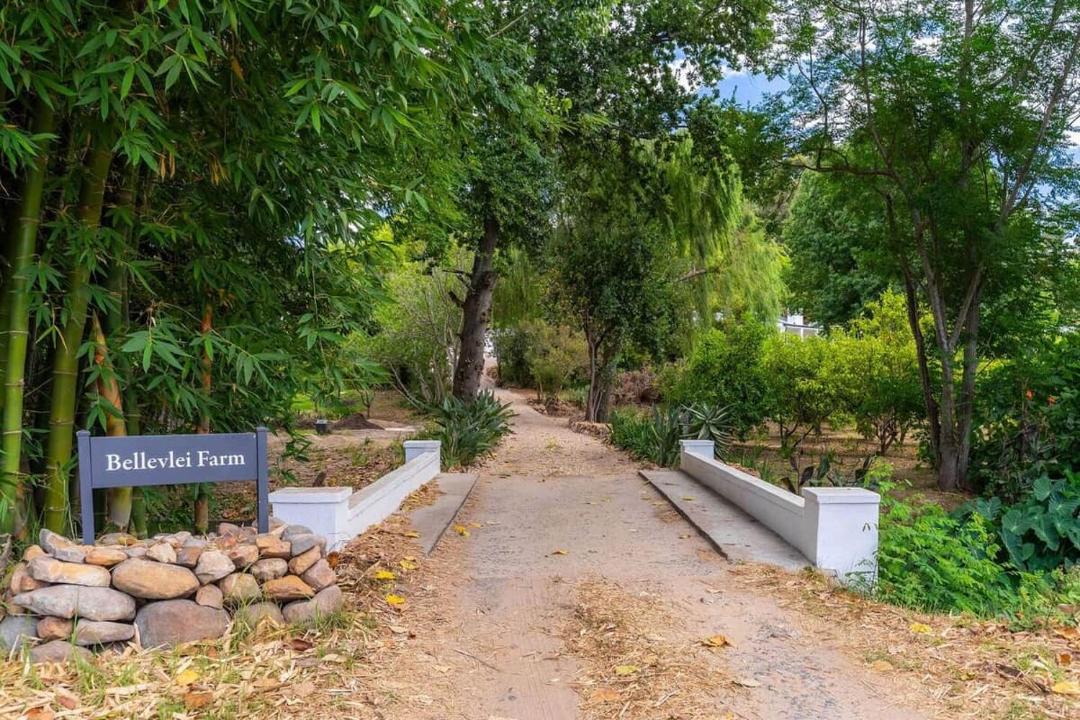 Photo of Others in Stellenbosch
