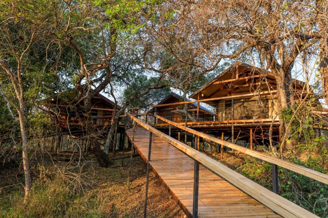 Photo of Others in Thorny Bush Game Reserve