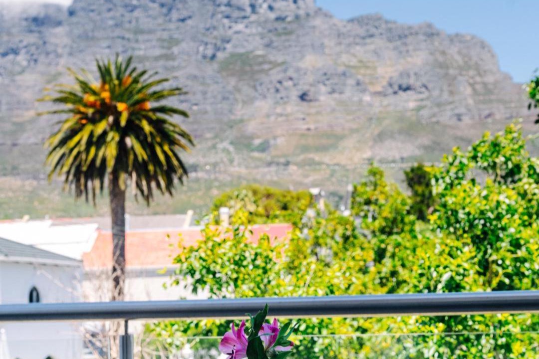 Photo of Others in Cape Town City Centre