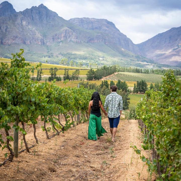 Photo of Others in Paarl