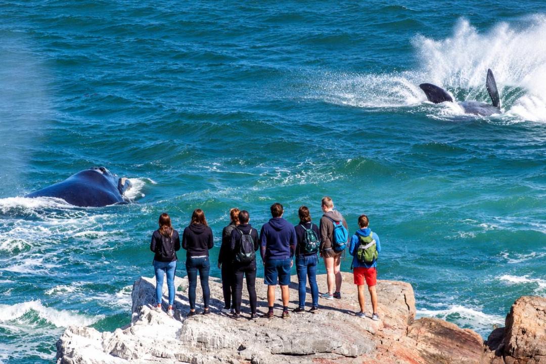Photo of Others in Westcliff
