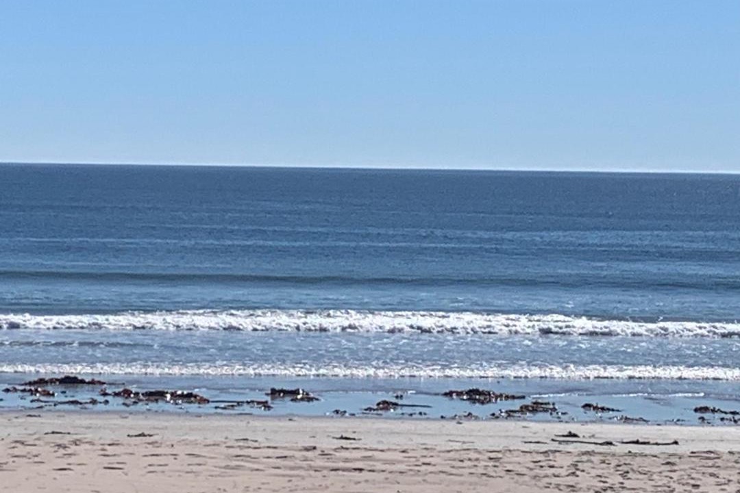 Photo of Others in St. Helena Bay