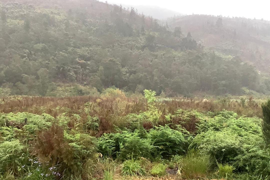 Photo of Others in Barrydale