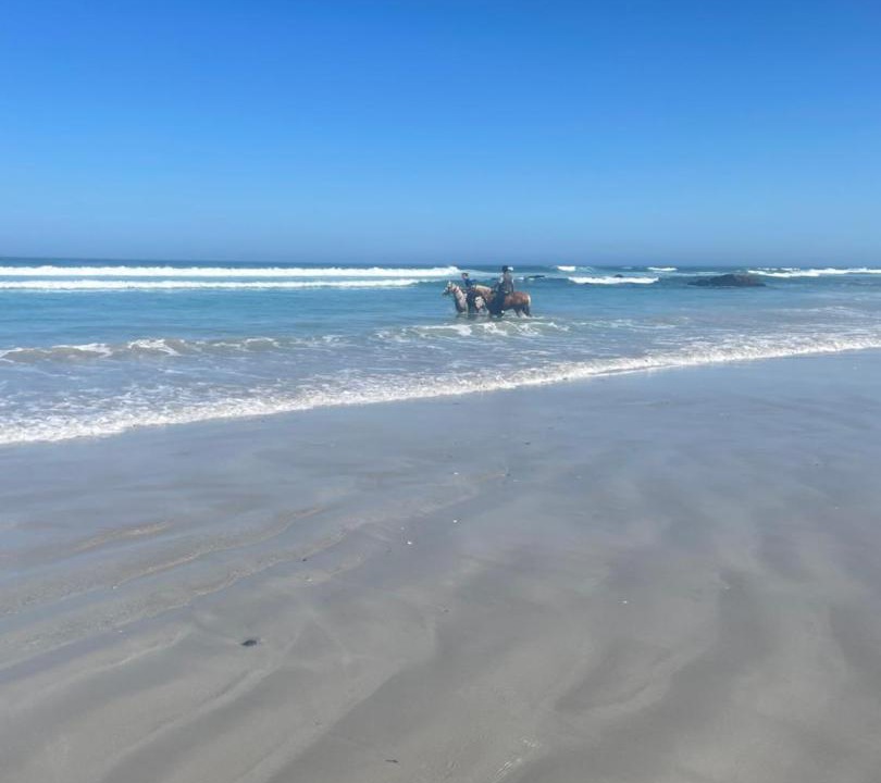 Photo of Others in Yzerfontein