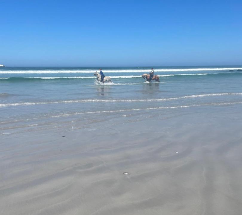 Photo of Others in Yzerfontein