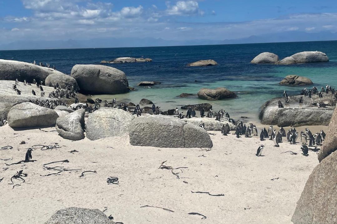 Photo of Others in Yzerfontein
