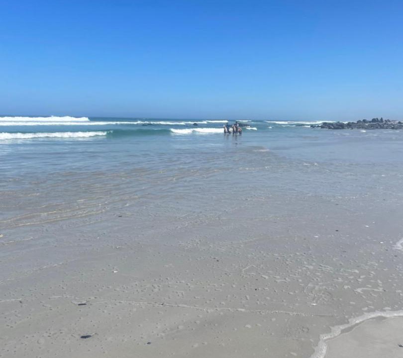 Photo of Others in Yzerfontein