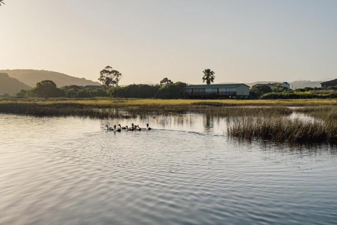Photo of Others in Klein Brak River