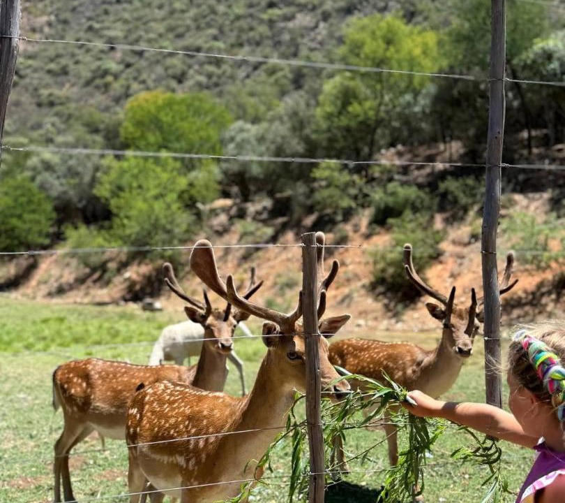 Photo of Others in Schoemanshoek