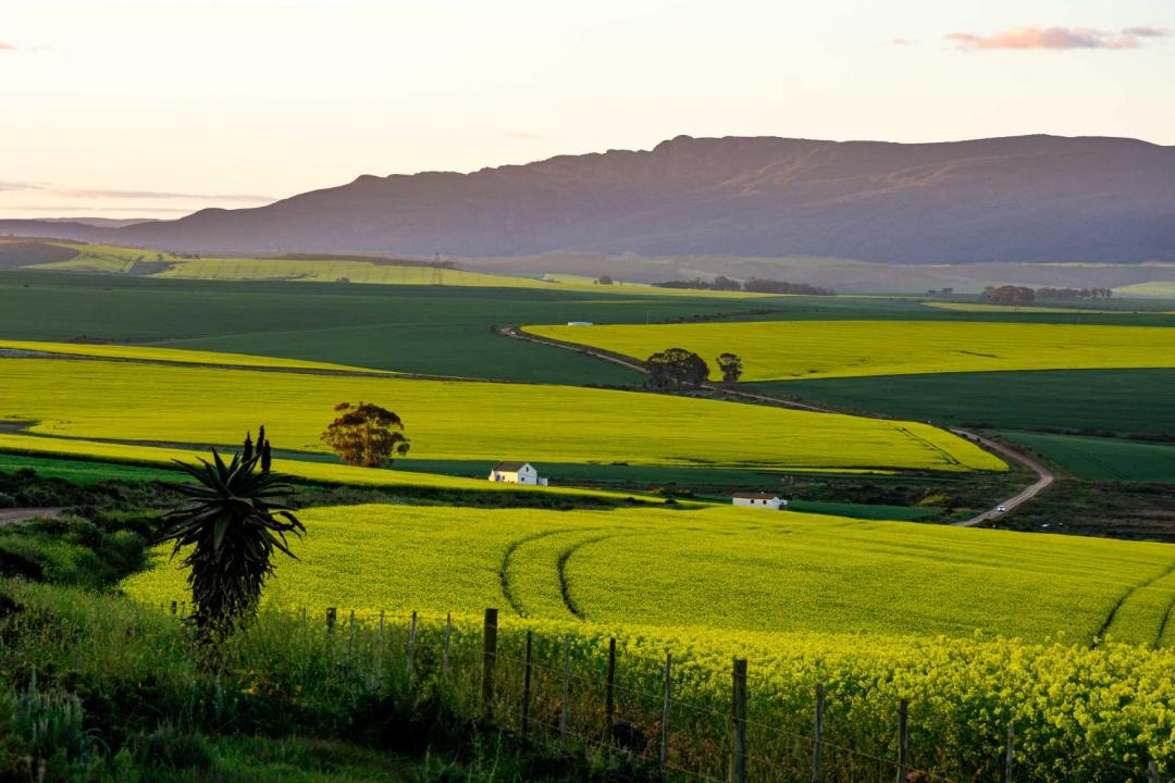 Photo of Others in Slangrivier