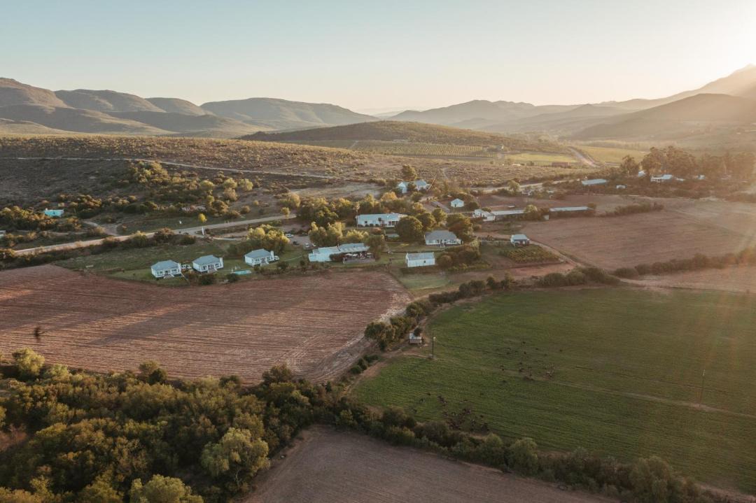 Photo of Others in Oudtshoorn