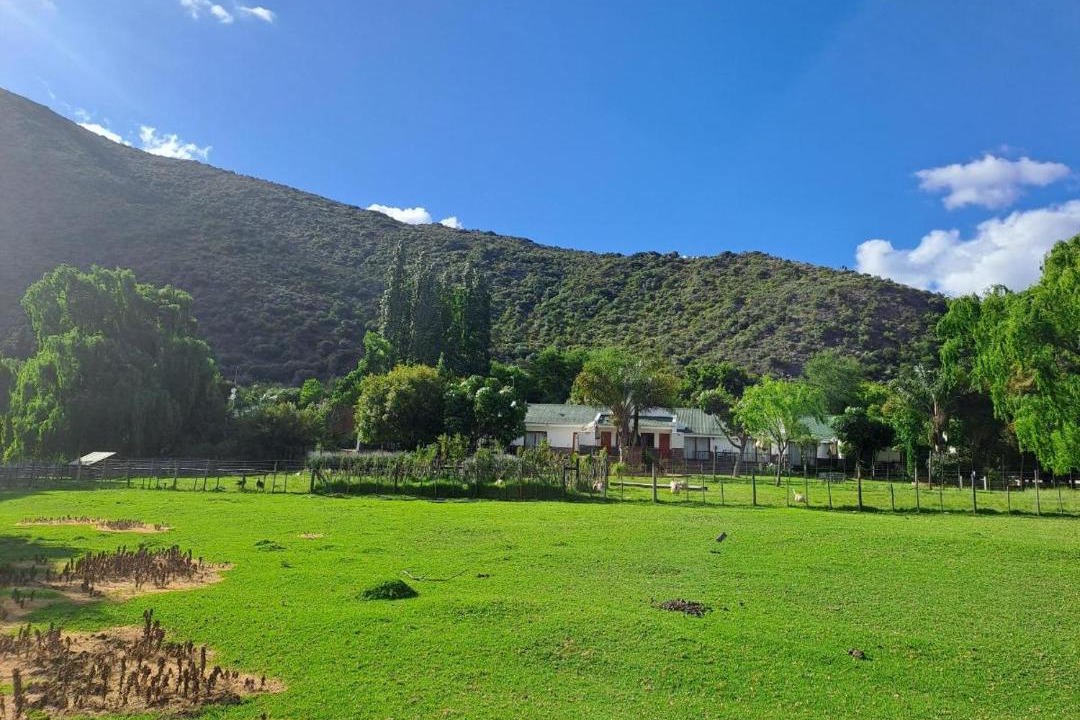 Photo of Others in Schoemanshoek