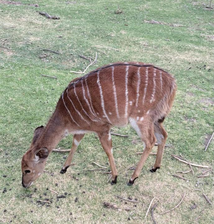 Photo of Others in Schoemanshoek