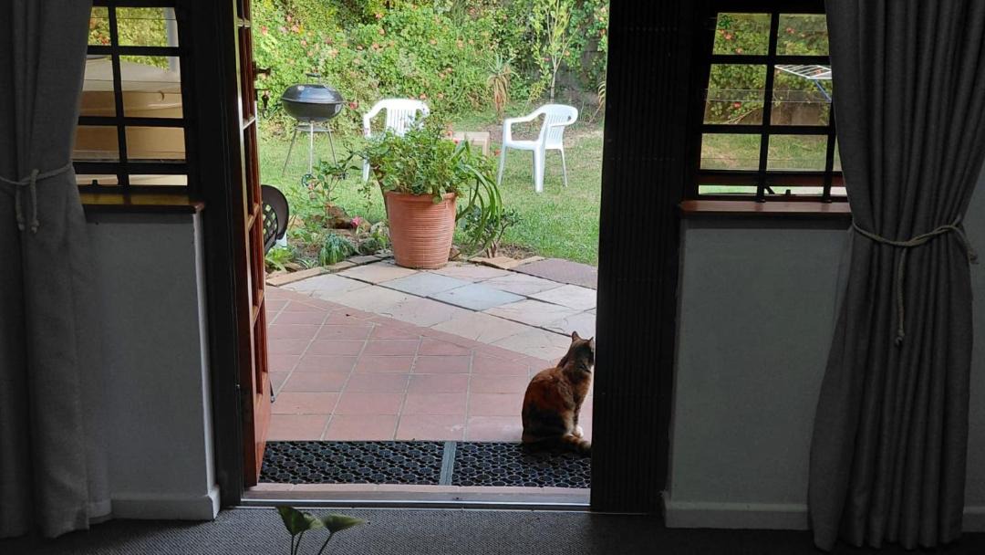 Photo of Others in Hunter's Home