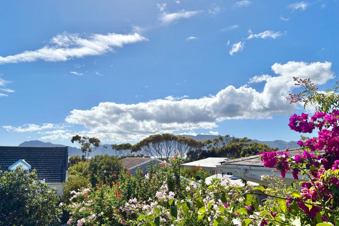 Photo of Others in Kommetjie