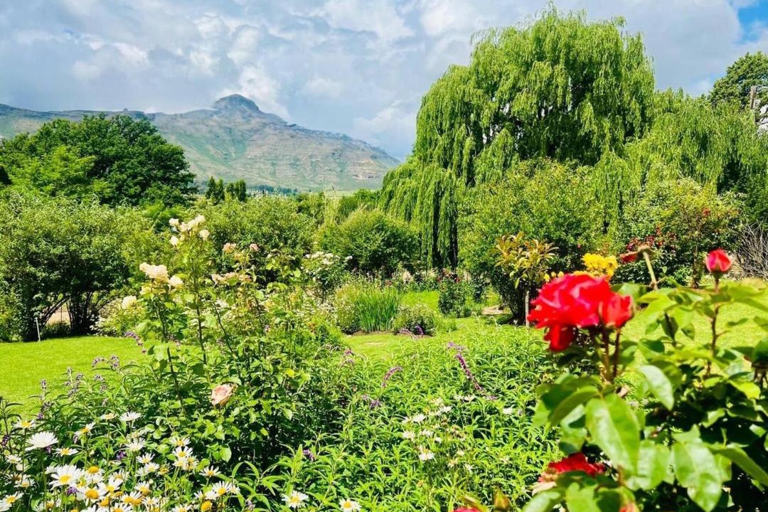 Photo of Others in Clarens