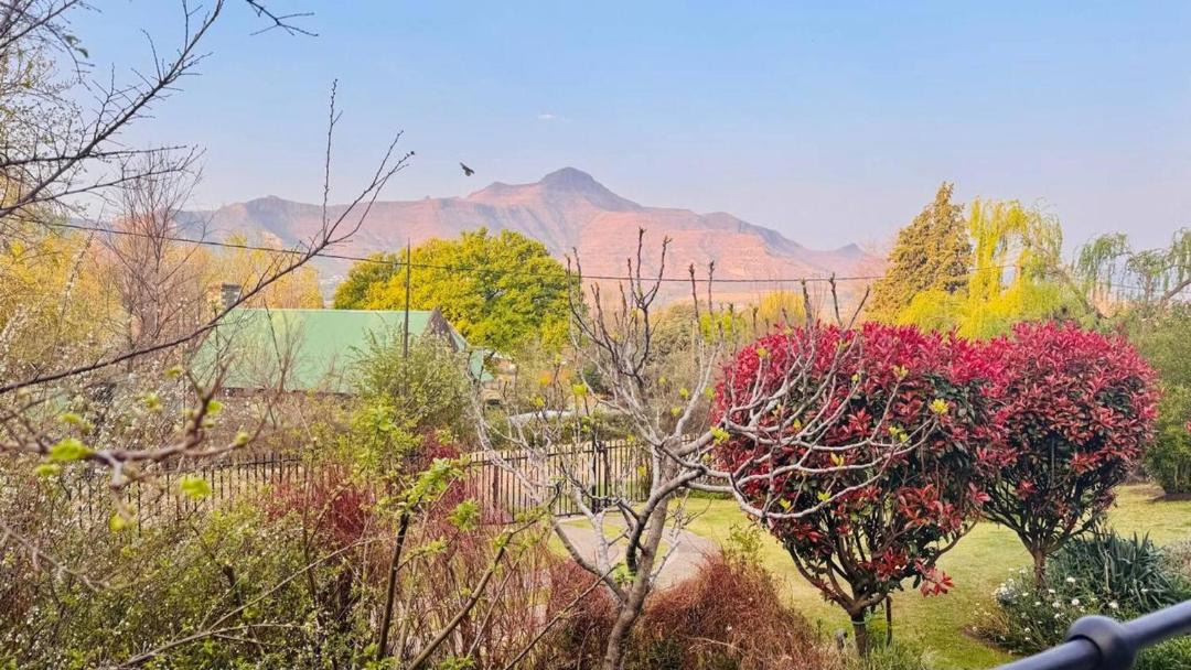 Photo of Others in Clarens