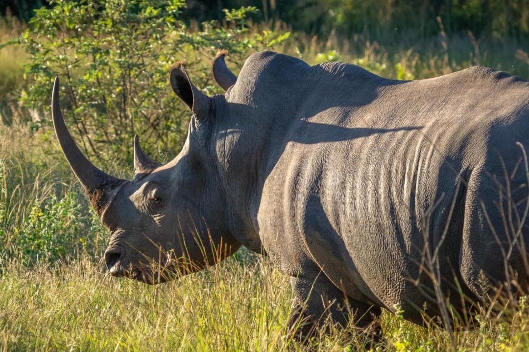 Photo of Others in Waterberg