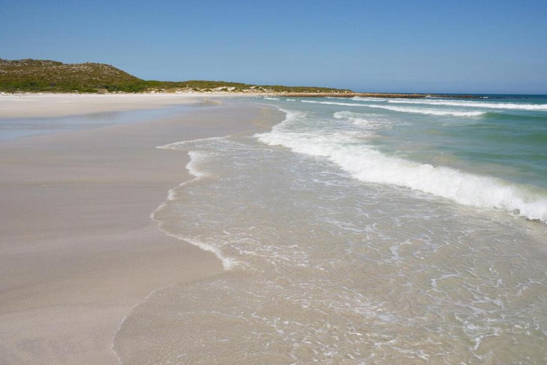 Photo of Others in Cape Peninsula