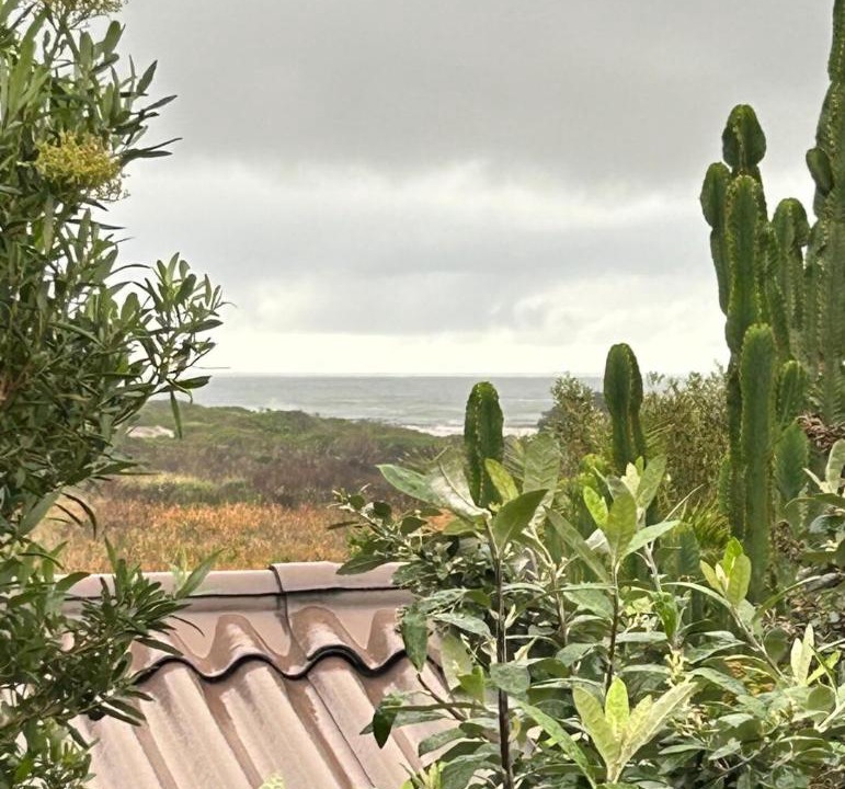 Photo of Others in Cape Peninsula