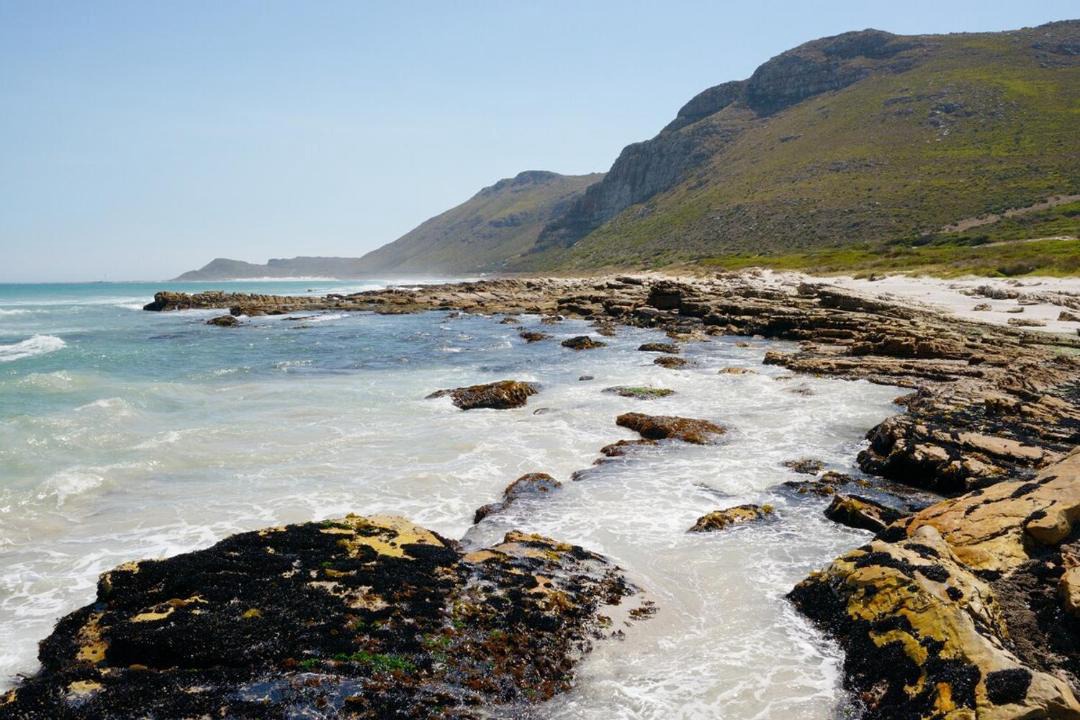 Photo of Others in Cape Peninsula