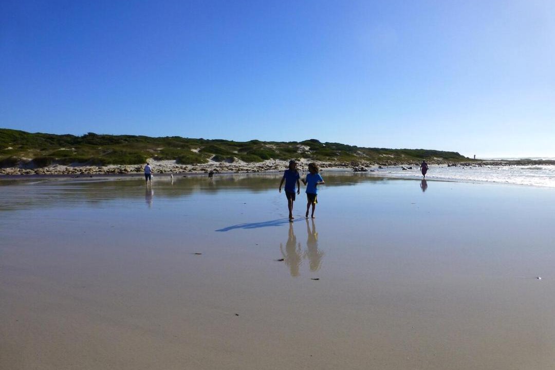 Photo of Others in Cape Peninsula