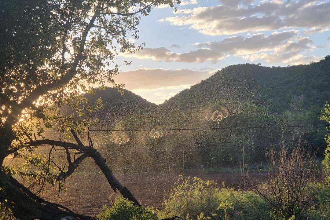 Photo of Others in Vredefort