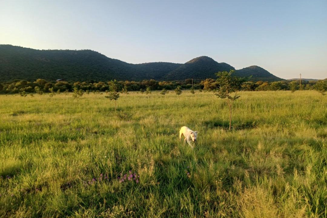 Photo of Others in Vredefort