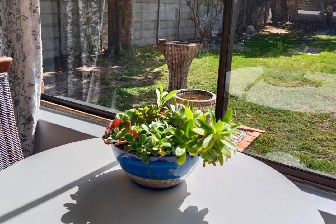 Photo of Patio Balcony in Betty's Bay