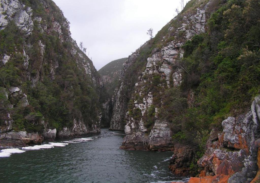 Photo of Others in Storms River