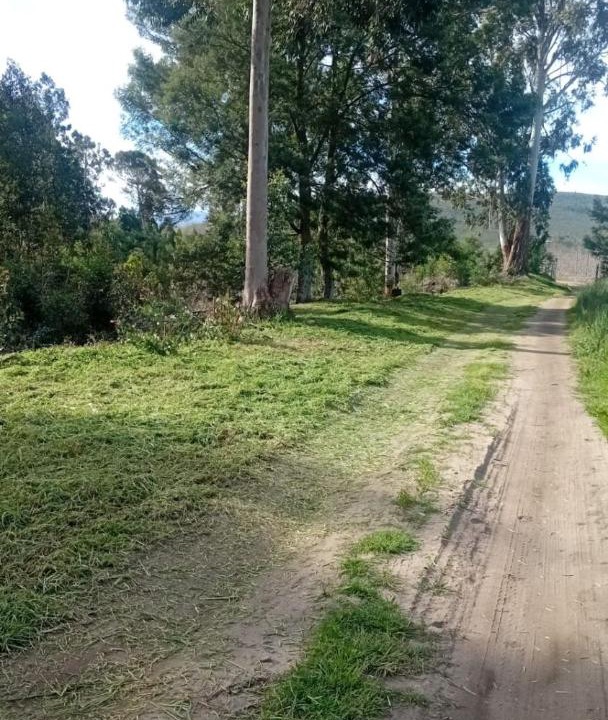 Photo of Others in Joubertina