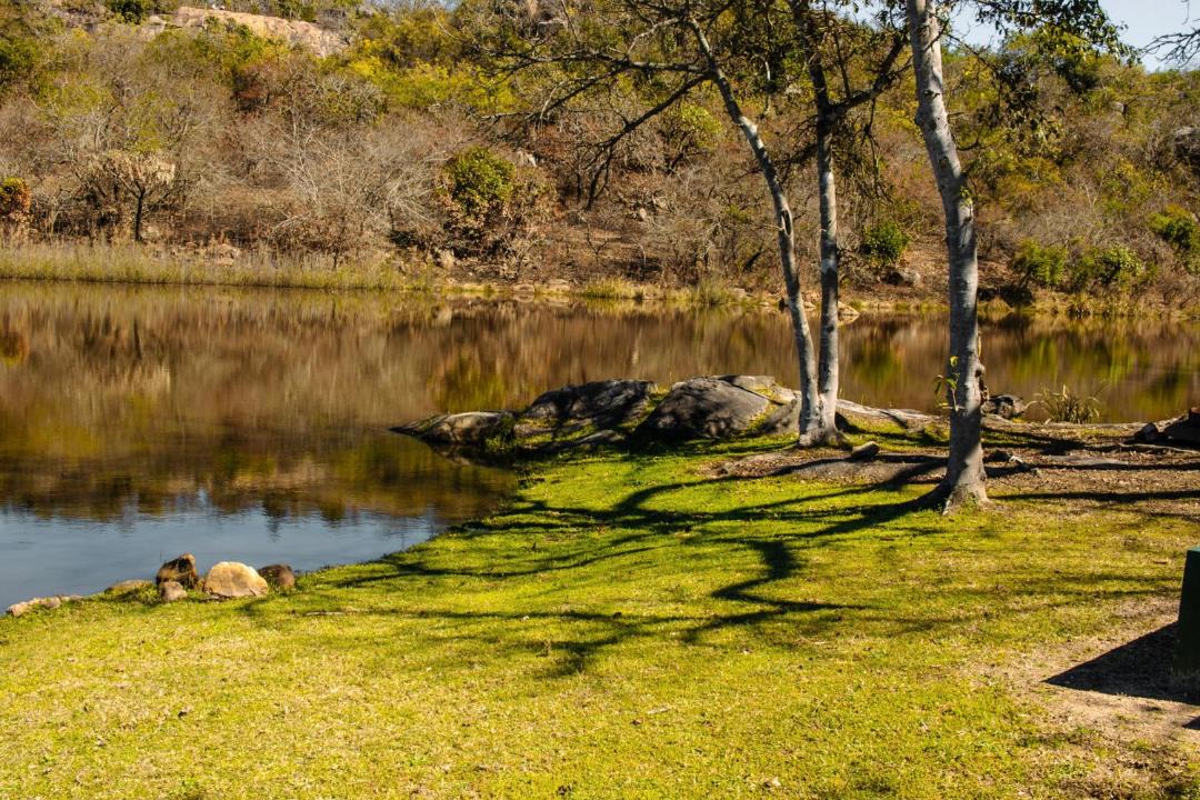 Photo of Others in White River
