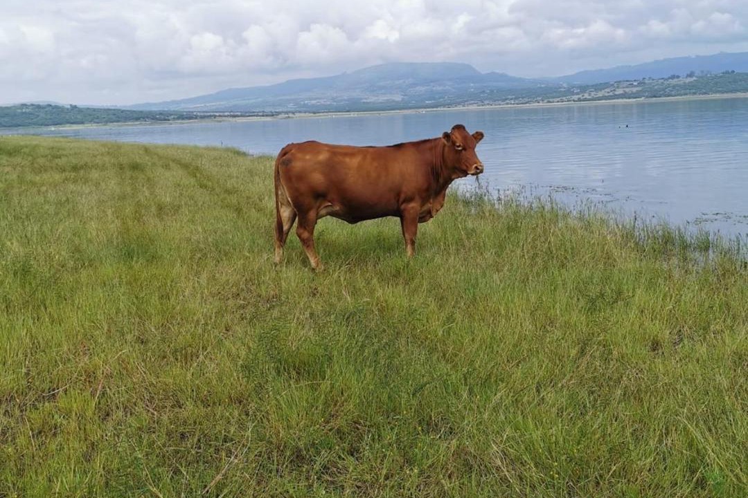 Photo of Others in Merrivale
