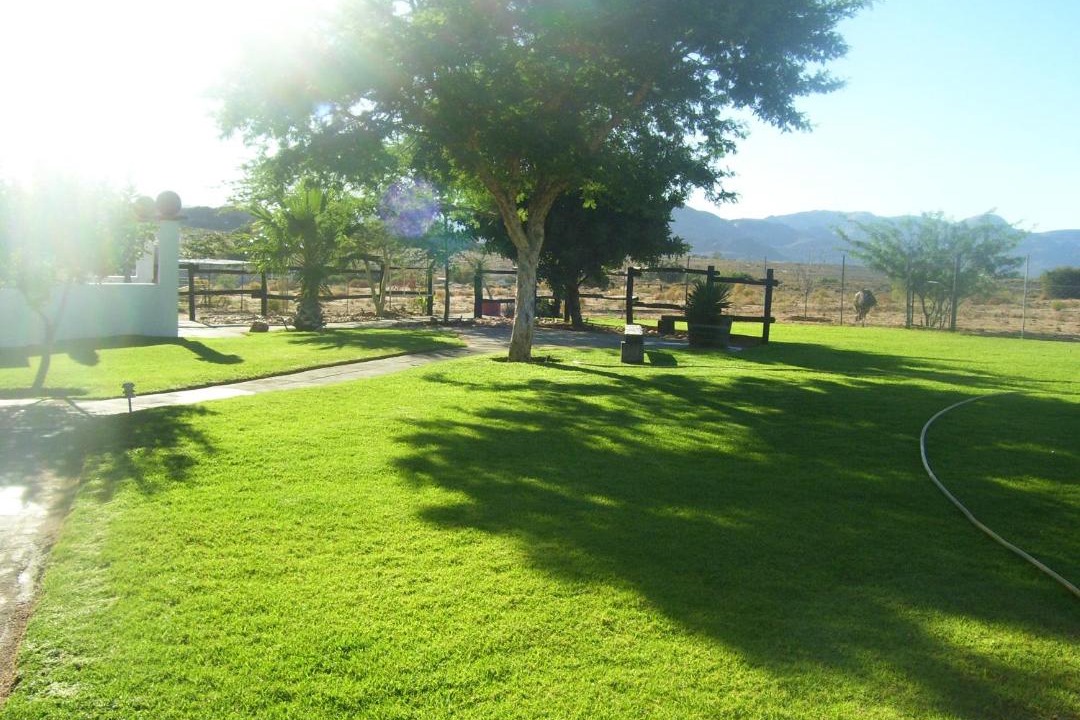 Photo of Others in Springbok