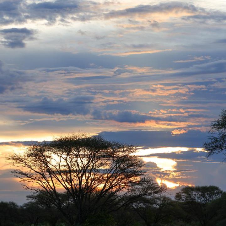 Photo of Others in Steenbokpan