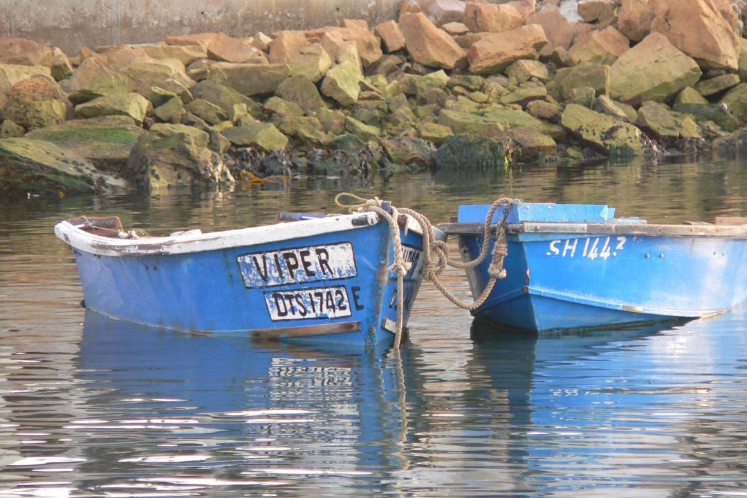 Photo of Others in Lambert's Bay