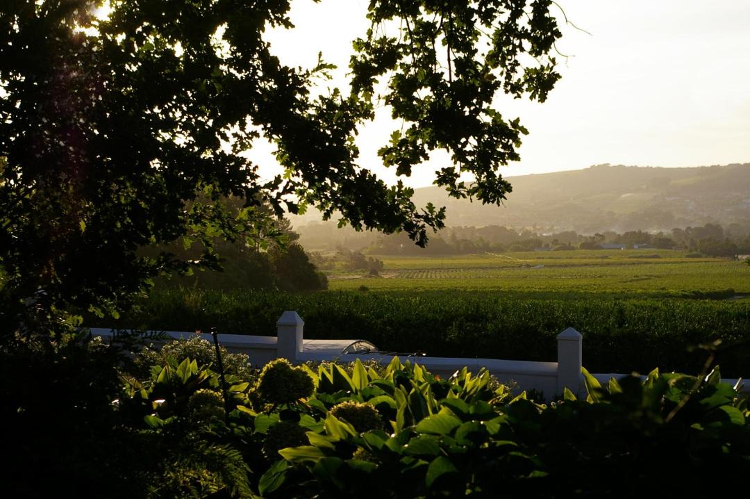 Photo of Others in Paarl