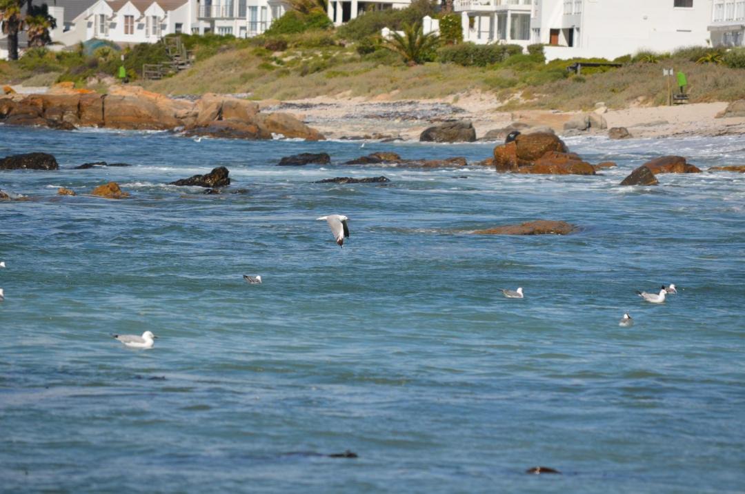Photo of Others in Shelley Point