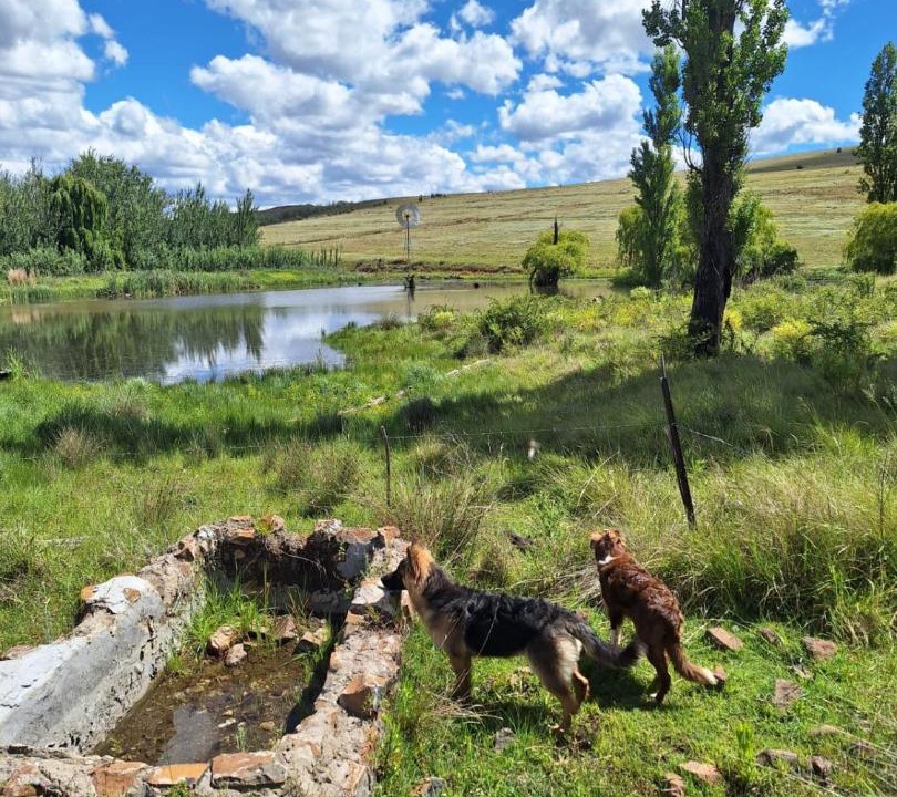 Photo of Others in Clarens
