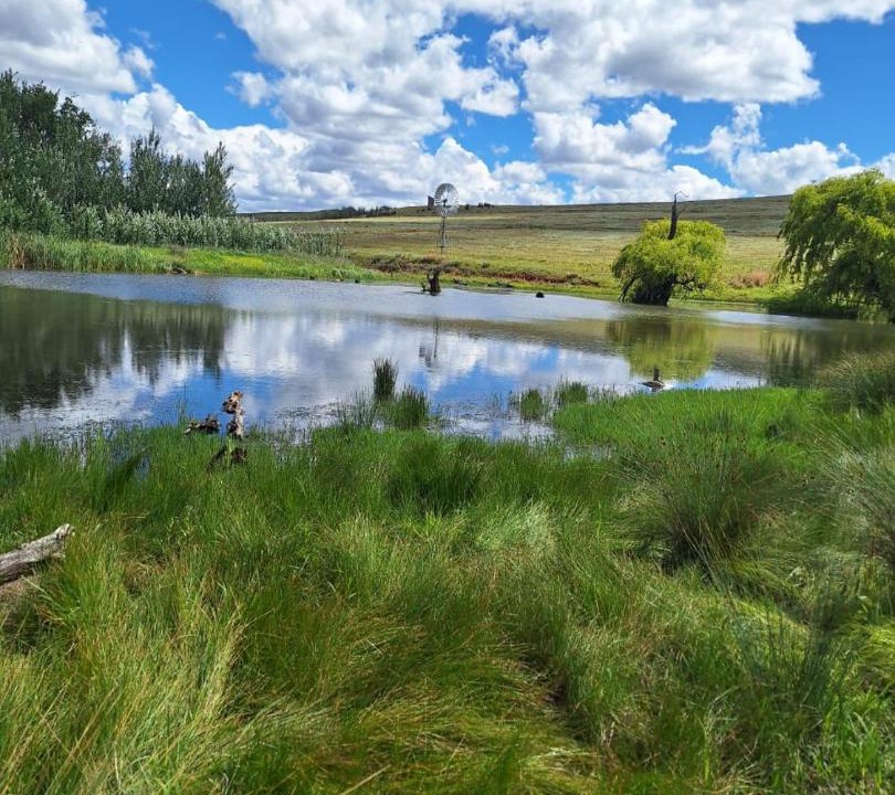 Photo of Others in Clarens