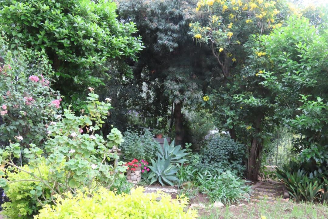 Photo of Others in Karoo Hoogland