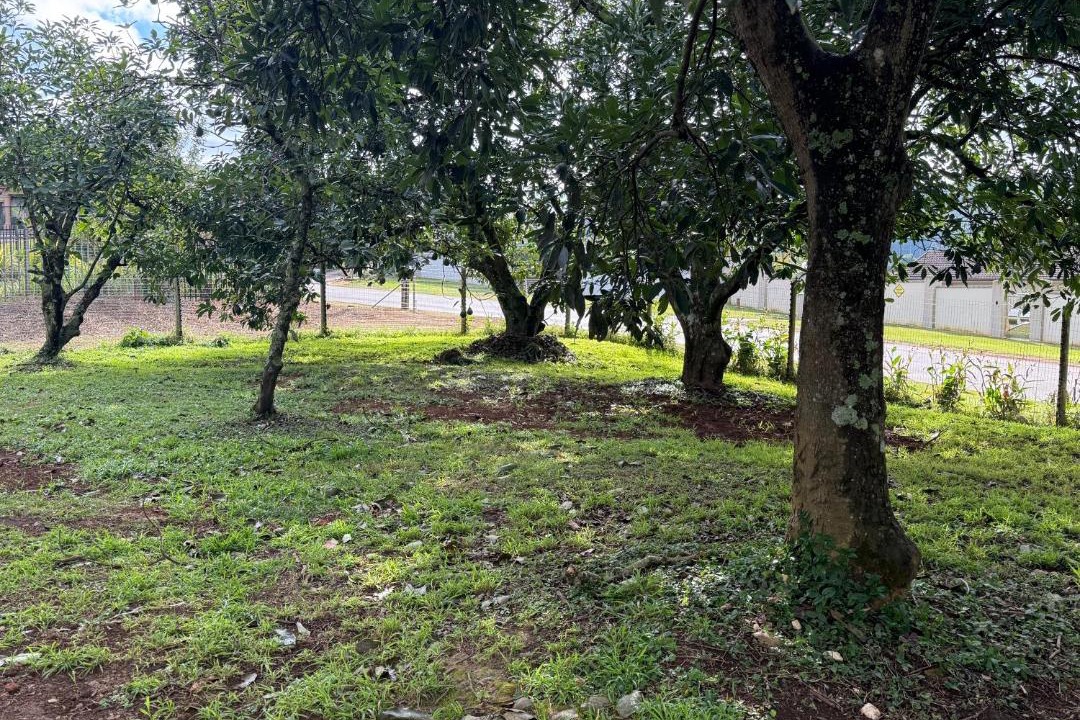 Photo of Outdoor in Howick